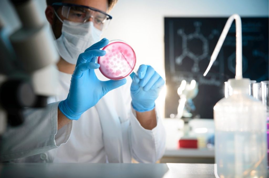 Food Testing Laboratory | Food Analysis | Envirocare Labs