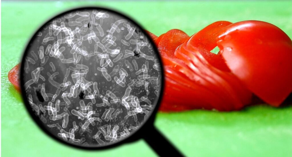 Identify and quantify harmful pathogens | Envirocare Labs