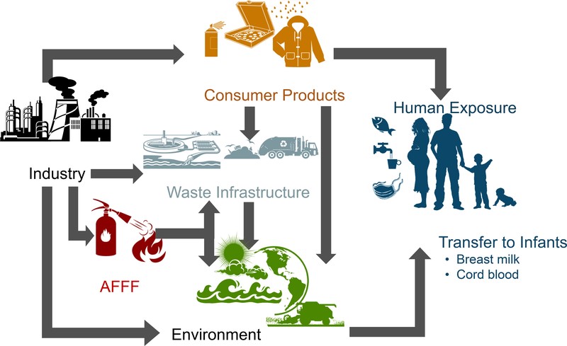 Pfas Testing