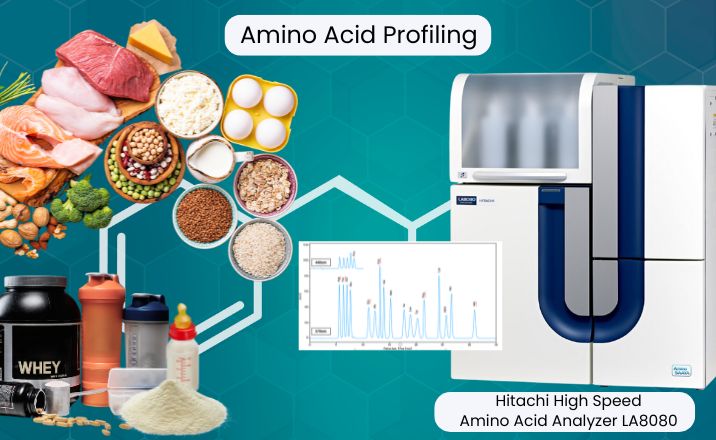 Amino Acid Profiling: A Vital Key to Understanding the Nutritional Value of Infant Formula Powders