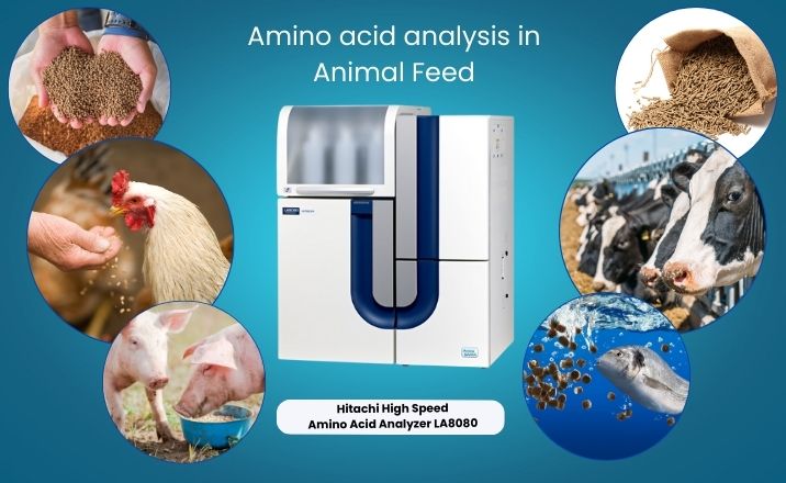 The Vital Role of Amino Acids in Animal Nutrition: Enhancing Growth, Health, and Sustainability