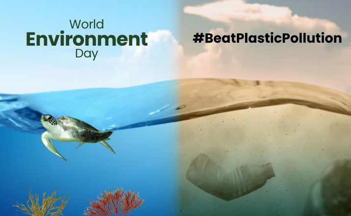 KEY MOMENTS FROM WORLD ENVIRONMENT DAY 2025 visual data 3