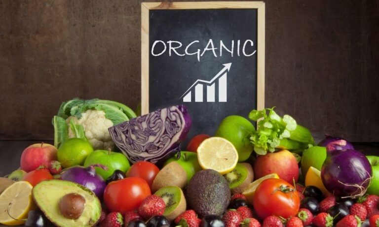 India’s Organic Food Market to Reach $10.81 Billion by 2033